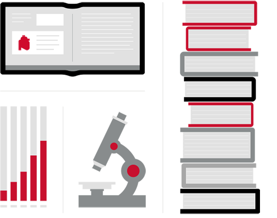 educa&ccedil;&atilde;o