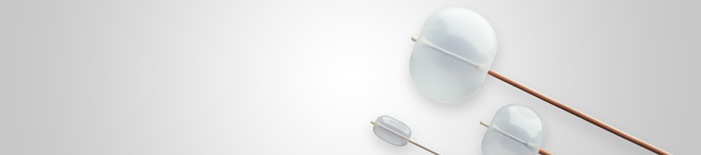 Catéter de oclusión Fogarty de Edwards Lifesciences