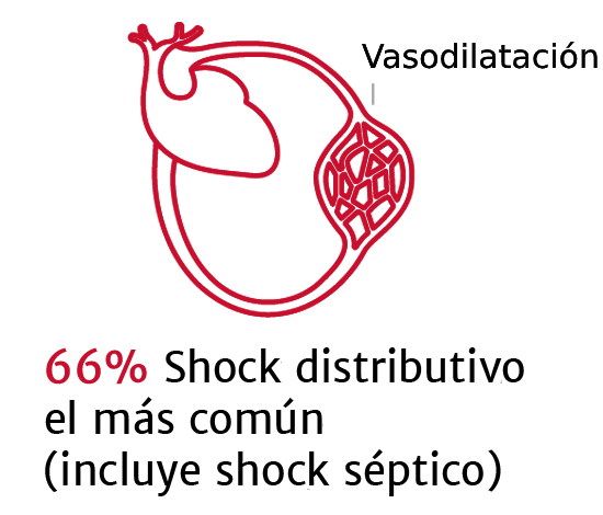 La importancia de los tipos de shock 1
